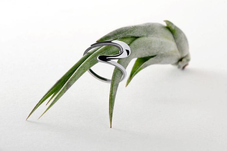 Photographie d'une bague sur un tillandsia.