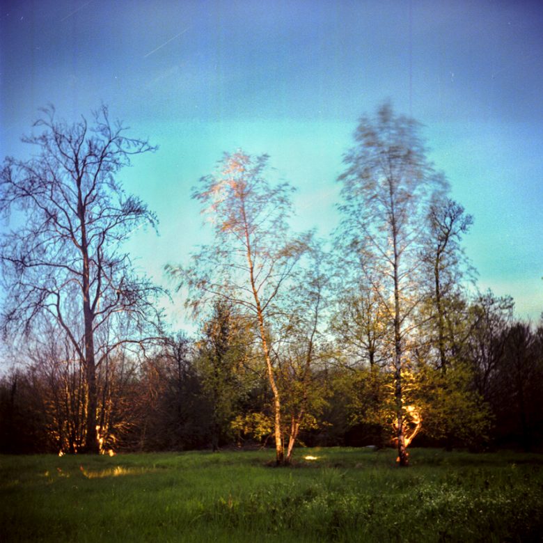 3 arbres de nuit en pose longue et lightpainting.