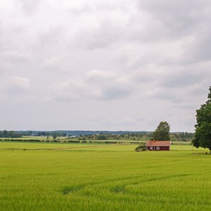 Maison isolée