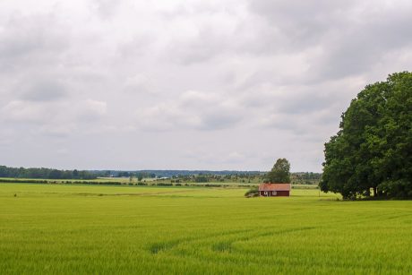 Maison isolée