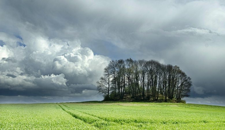 Le bosquet de La Motte, ancien tumulus par un jour d'orage.