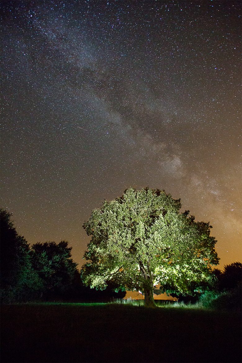 Arbre de nuit open-flash et pause longue