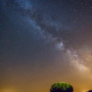 Le bosquet de La Motte sous la voie lactée