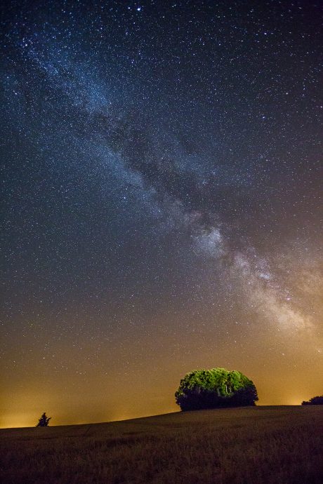 Le bosquet de La Motte sous la voie lactée