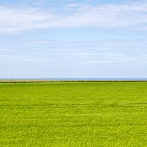 Paysage de bord de mer en Normandie