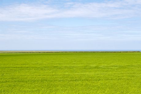 Paysage de bord de mer en Normandie